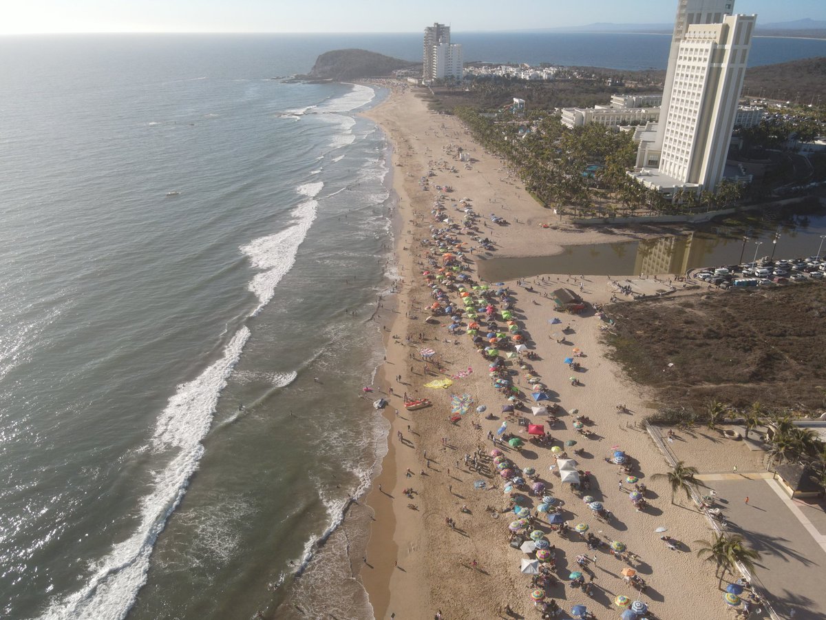 Cerritos Sea Turtle Rescue tweet media