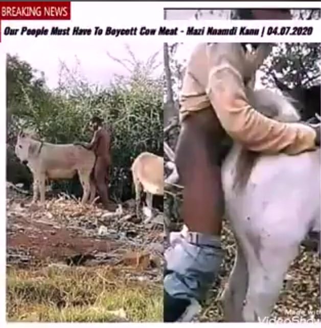 four_unit's tweet photo. The Janjaweeds from Sahel having sex with cows, Imposter in Aso, Hundreds &amp; thousands of Fulani terrorists integrated into 🇳🇬 security operatives, Peter Obi rigged out, Tinubu a drug Barron declared president elect.. While an innocent MNK still detained.

We say Free MNK. End 🇳🇬 https://t.co/daY4Hcjdys