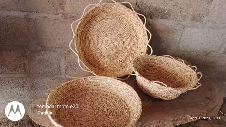 GilbertoARRIE14's tweet photo. La artesanía de la señora Cristina peña en corregimiento de riocedro de moñitos cordoba Colombia hecha de fibra de planos iraka https://t.co/LPK5t9xlyi