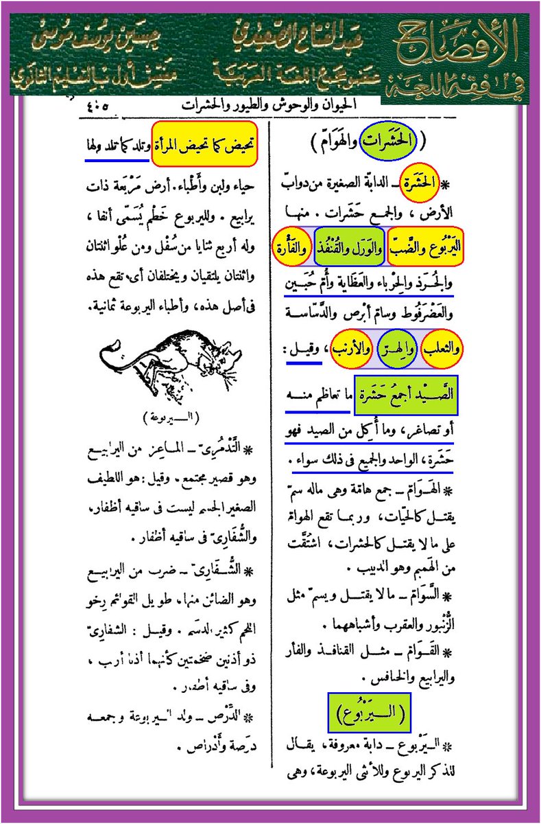 وأنت خليفتي في كل مؤمن بعدي tweet media