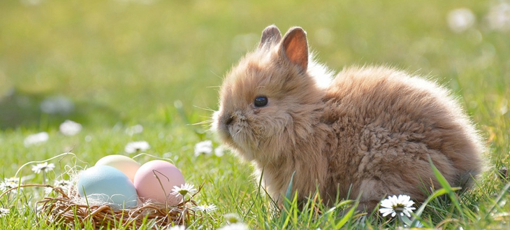 Easter, may all your bad luck, bad luck and bad luck disappear; good luck, wealth and good fortune will all be reported; family, love and friends will be around you with affection; relatives, friends and friends will put you at ease. May your eyebrows dance with joy and smile.