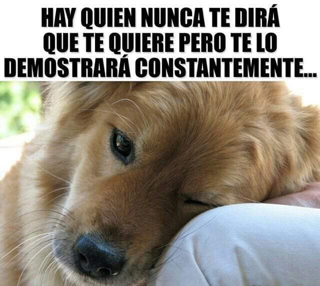 Buenas noches ✨💖