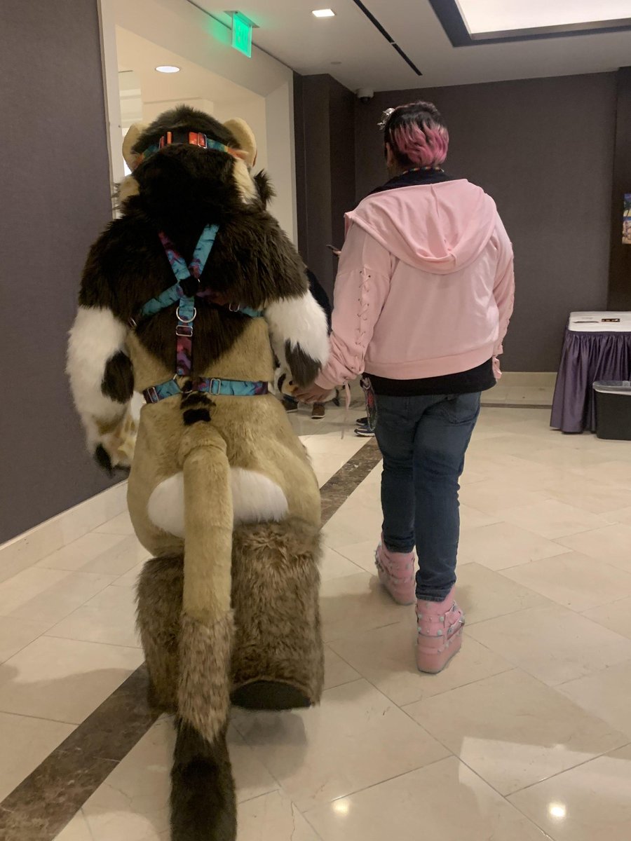 FinchTheBuck's tweet photo. WE OUT HERE 

#gsfc #GSFC2023 #furry #fursuit #fursuiter. https://t.co/ttV1eiQHLR