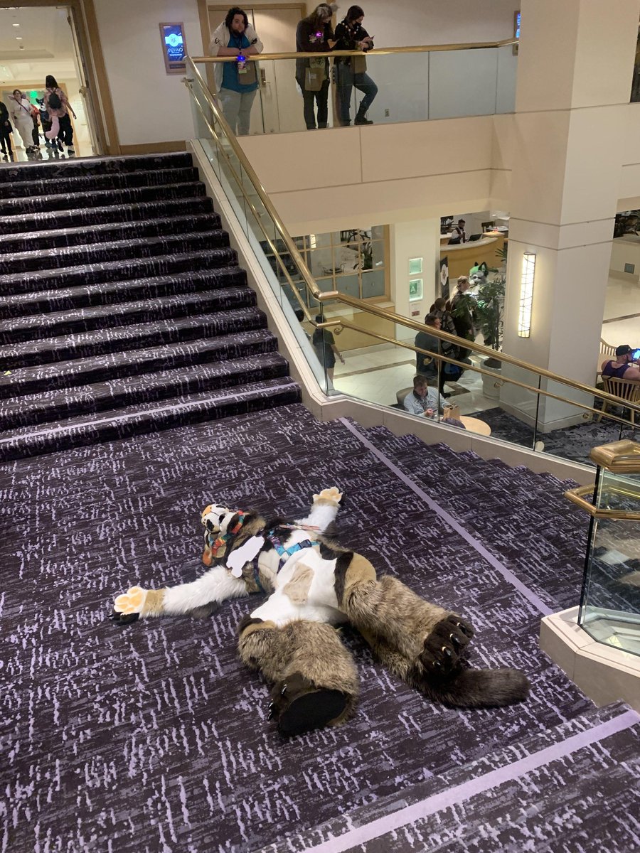 FinchTheBuck's tweet photo. WE OUT HERE 

#gsfc #GSFC2023 #furry #fursuit #fursuiter. https://t.co/ttV1eiQHLR