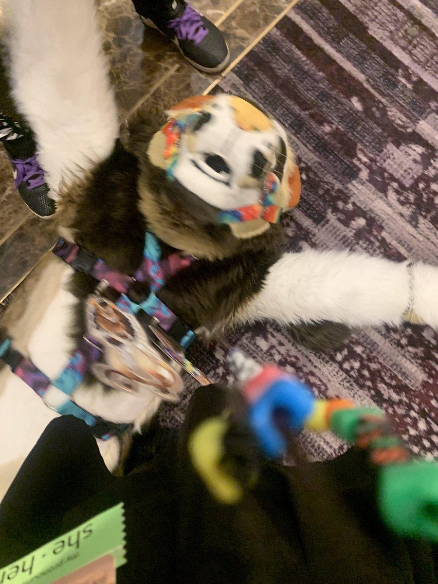 FinchTheBuck's tweet photo. WE OUT HERE 

#gsfc #GSFC2023 #furry #fursuit #fursuiter. https://t.co/ttV1eiQHLR