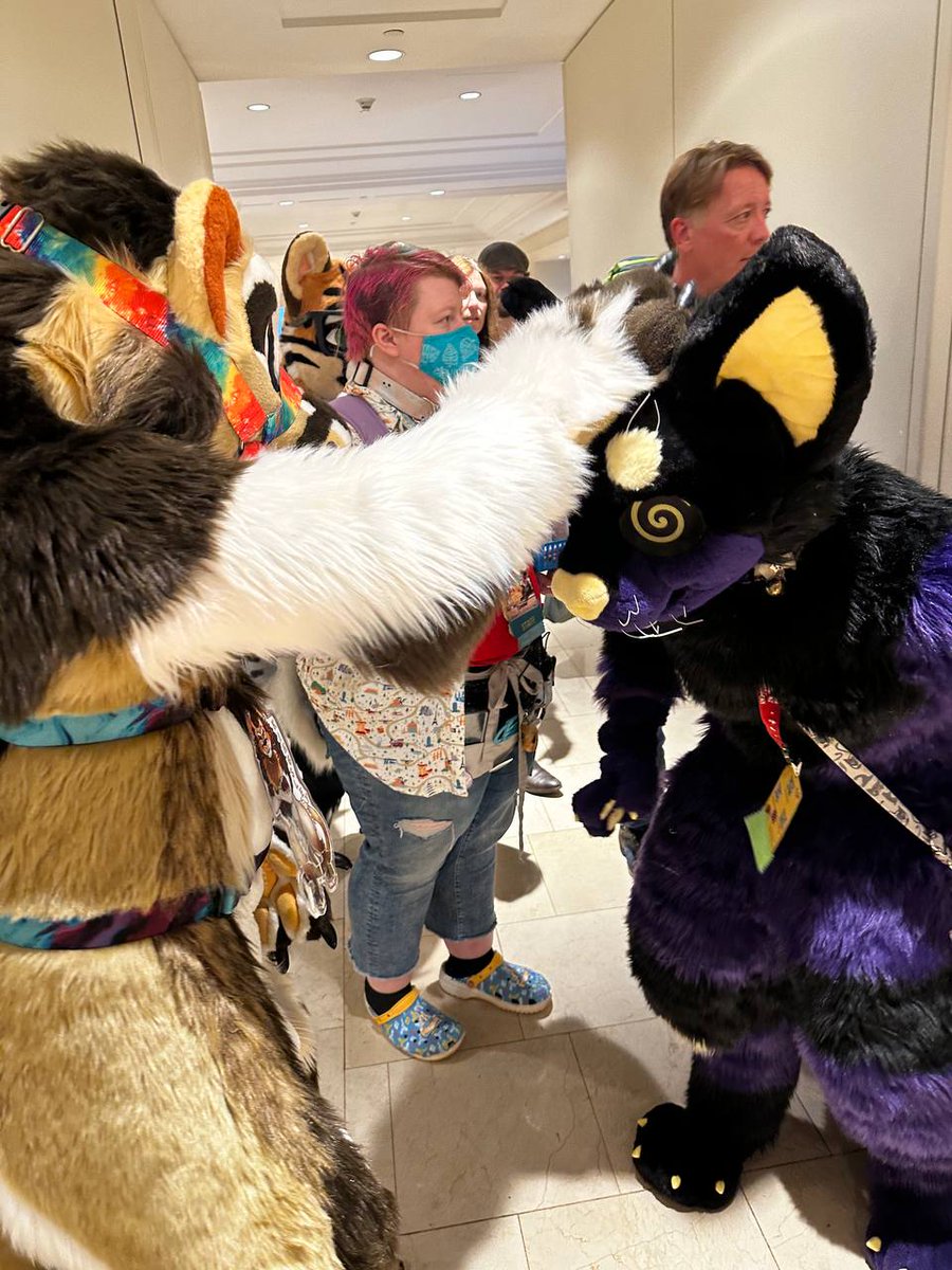 FinchTheBuck's tweet photo. WE OUT HERE 

#gsfc #GSFC2023 #furry #fursuit #fursuiter. https://t.co/ttV1eiQHLR