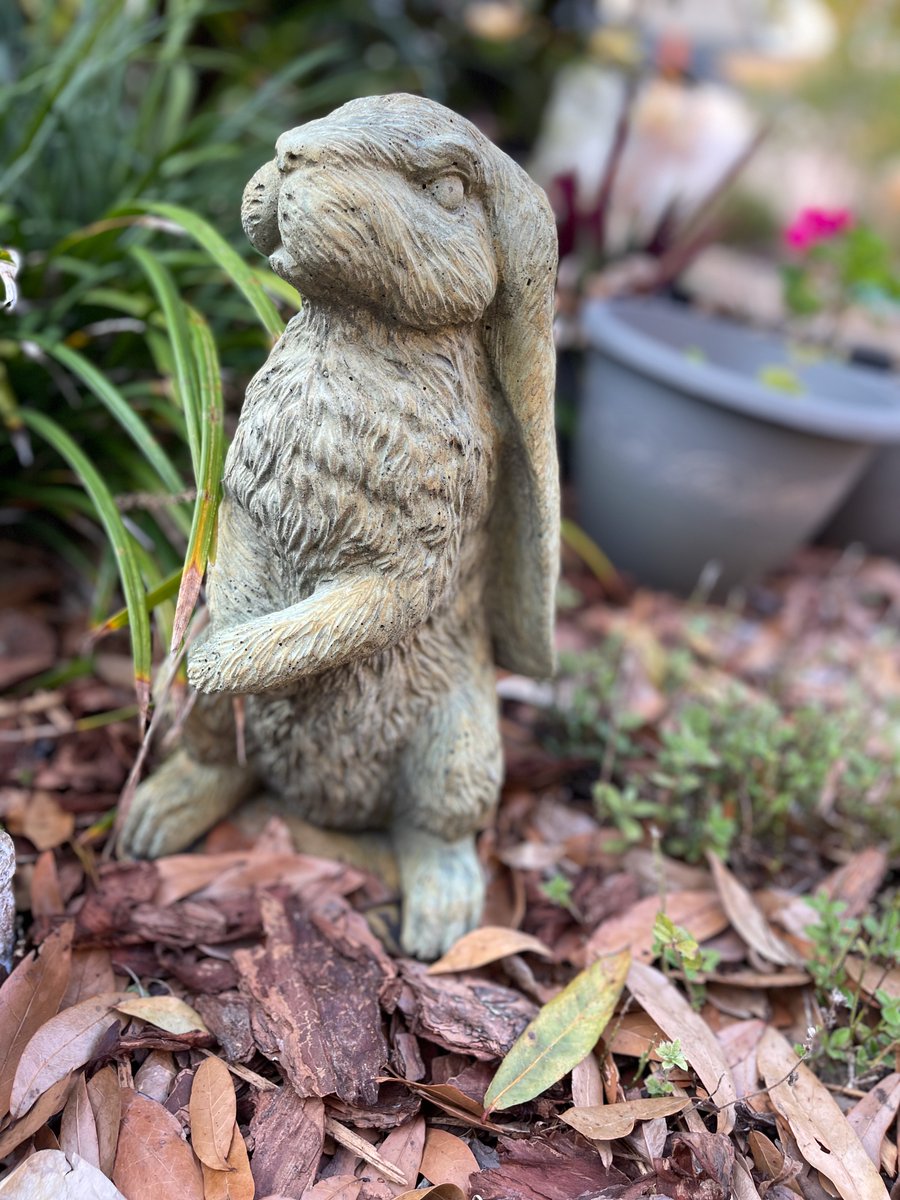 NatchezDog's tweet photo. Easter yard patrol- Lily is finding flowers and bunnies! #ZSHQ https://t.co/fZrsPTKEPU