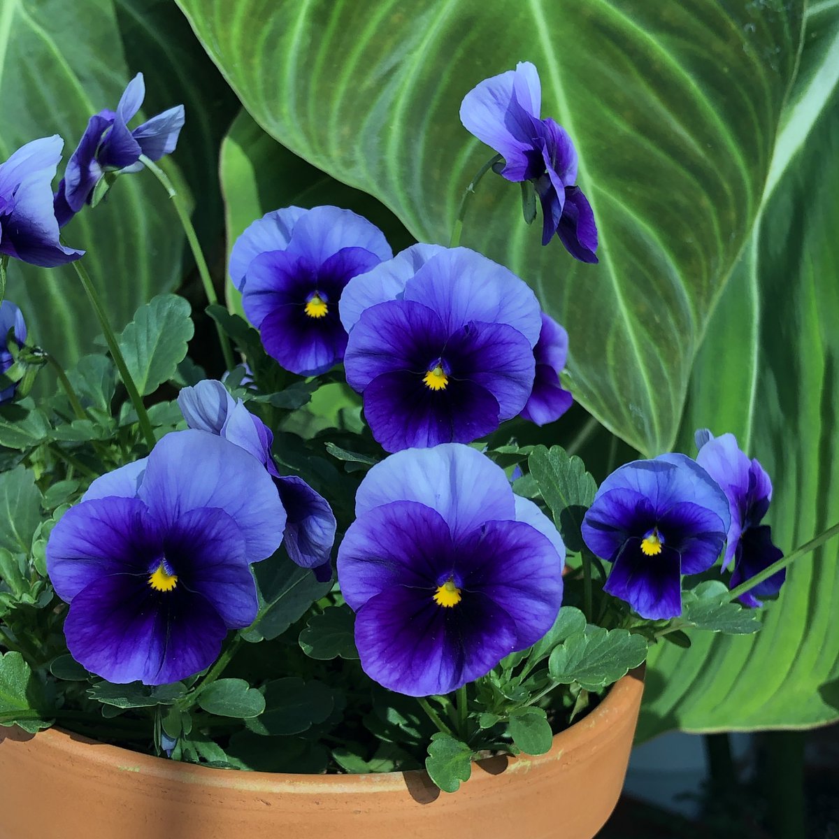 흔둥이 최고예요💜