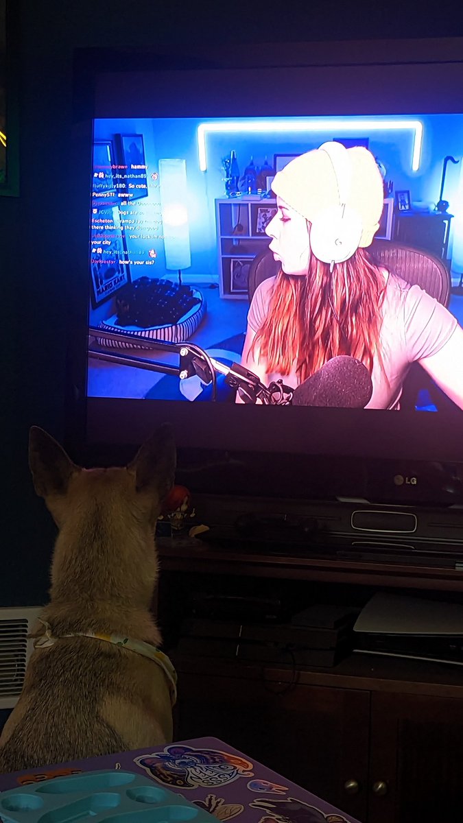 rhianna on Twitter: "@ElspethEastman Darcy loves you and Cleo!"