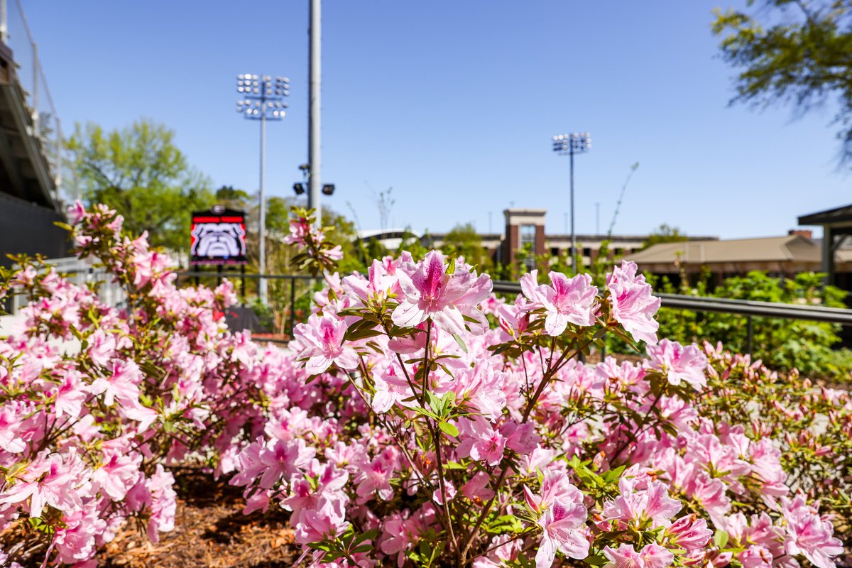 UGAWomensTennis's tweet photo. Sunday @TheMasters vibes at the Dan Magill Tennis Complex!
Dawgs 🆚 Gators at 1 p.m.
#GoDawgs x #FillMagill https://t.co/dKUrre8qGM
