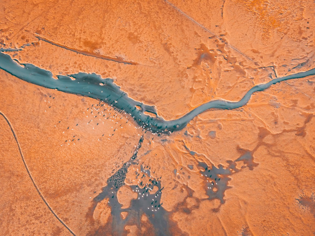 صور من تصويري 👌