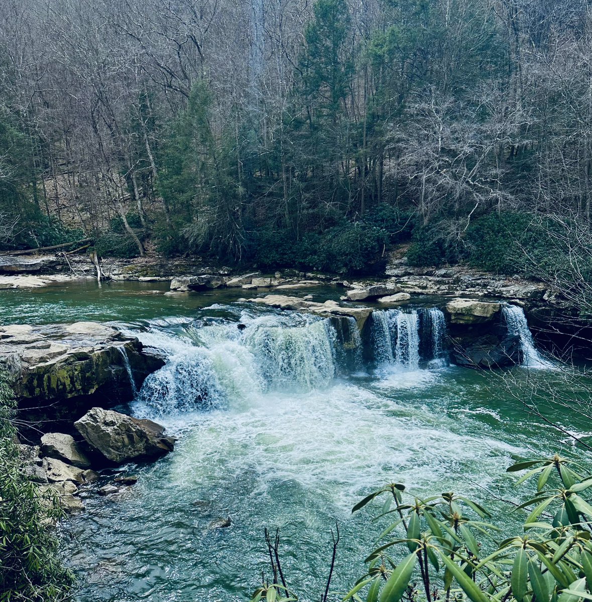 juliechristie74's tweet photo. A much needed day hunting the elusive Wader Falls! After a few wrong turns, a run in with a thankfully sluggish copperhead, we finally made it! #MyAdventureChallenge https://t.co/ZhpOqv79hB