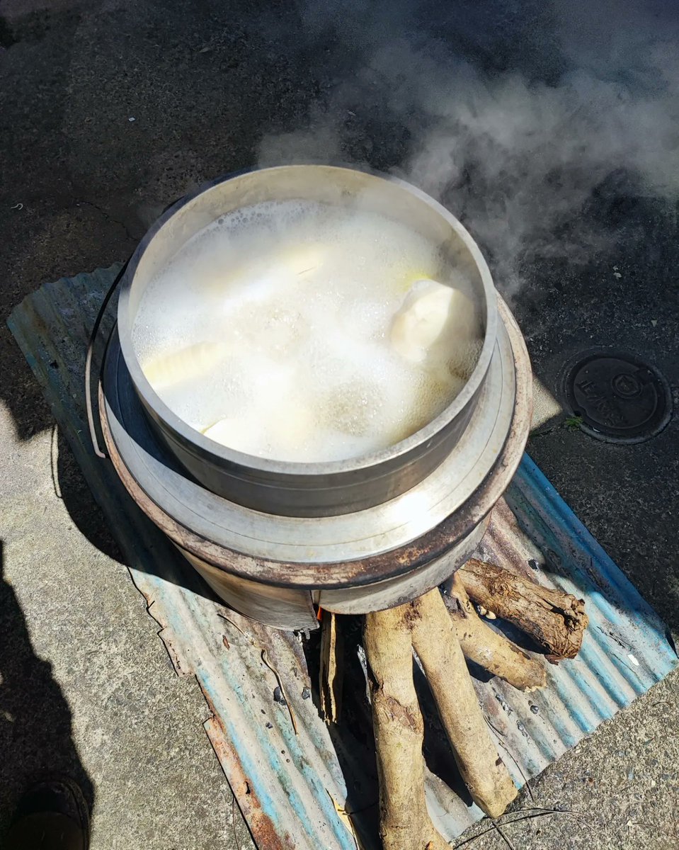 yahtrans's tweet photo. 久しぶりにタケノコ掘り🗻
平地のタケノコはイノシシが食べてるから斜面のタケノコ探し🐗

#タケノコ掘り
#山へ行こう
#イノシシのフンだら��🐗💩笑 
#タケノコゆがき中 
#柔らかくて美味しい https://t.co/gZcHmg1EQ9