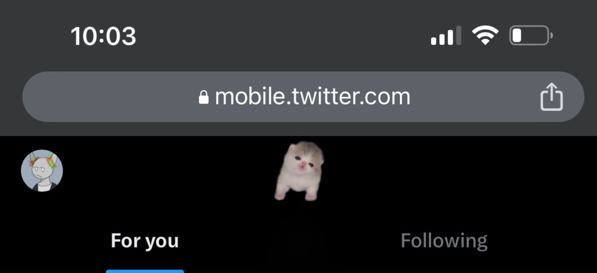 Elon the changes have gone too far. Wtf is that