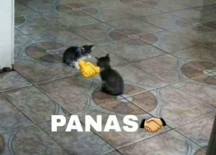 Real Juventud San Joaquín ⭐️ tweet media