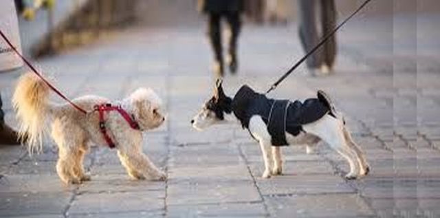 Junito sport 2 (@junitosport23) on Twitter photo 