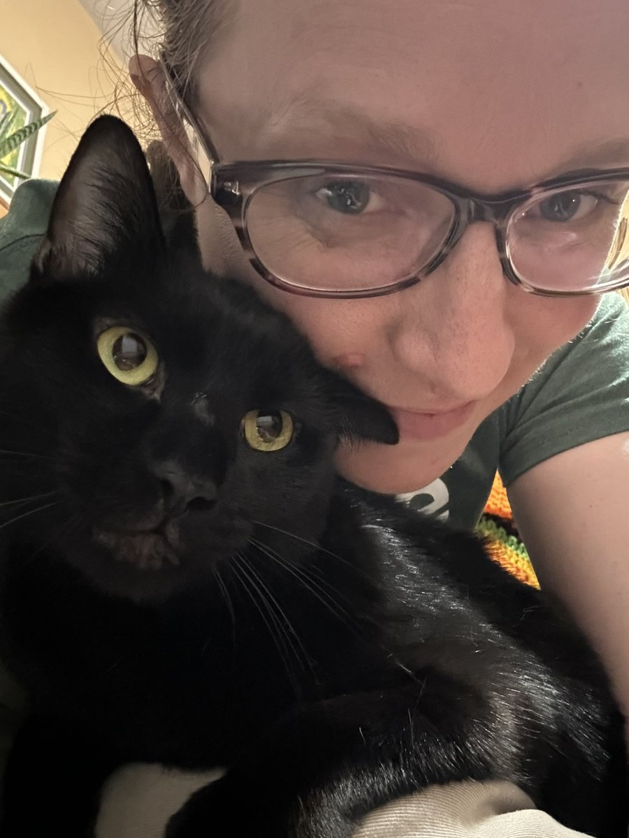 AtticusAtticCat's tweet photo. I’m a real snuggle cat #AtticusTheAtticCat https://t.co/CeVTsQOXFX