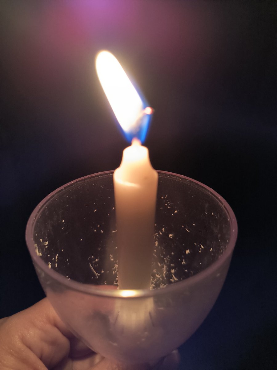 Christina Bradley tweet media