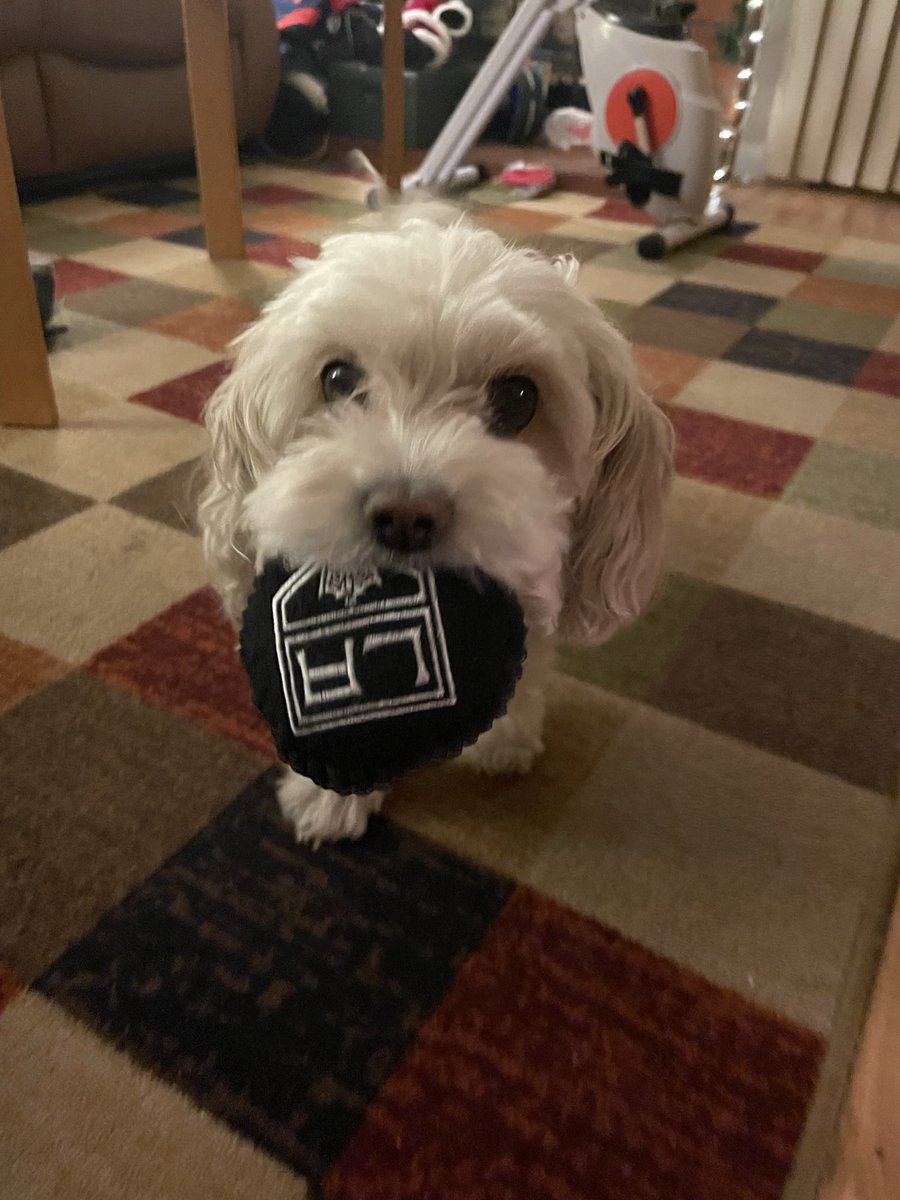 oopsitsmikayla's tweet photo. #GoKingsGo https://t.co/Q934o2Yggh