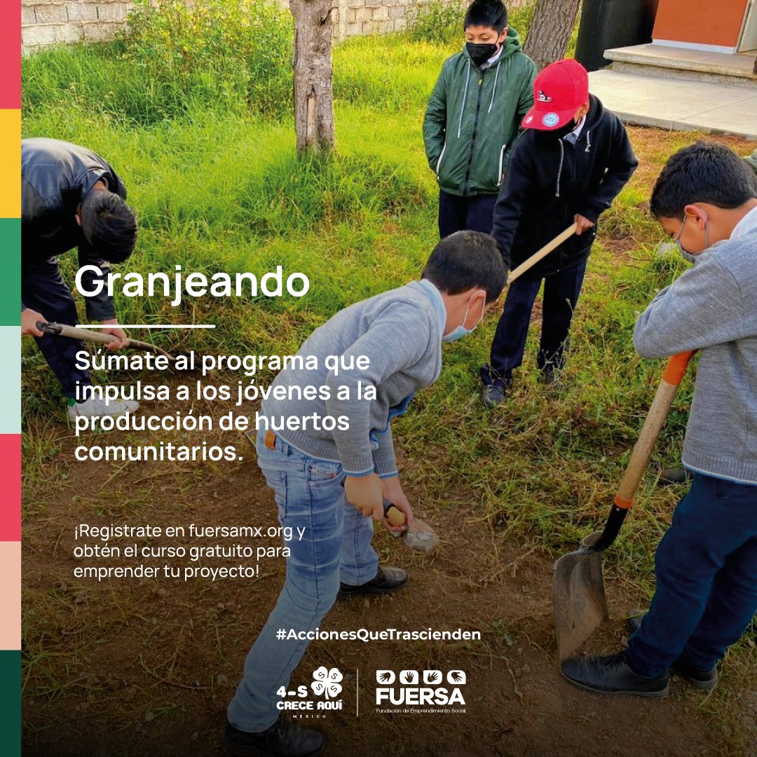 🍀 ¡Regístrate en fuersamx.org y obtén el curso de inducción para agentes de cambios 4S y emprende tu proyecto comunitario!

#AccionesQueTrascienden #FUERSAMX #4sCreceMx #4screceaqui