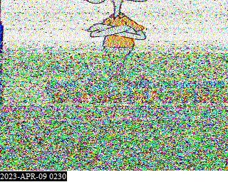 W4NCH SSTV Feed tweet media