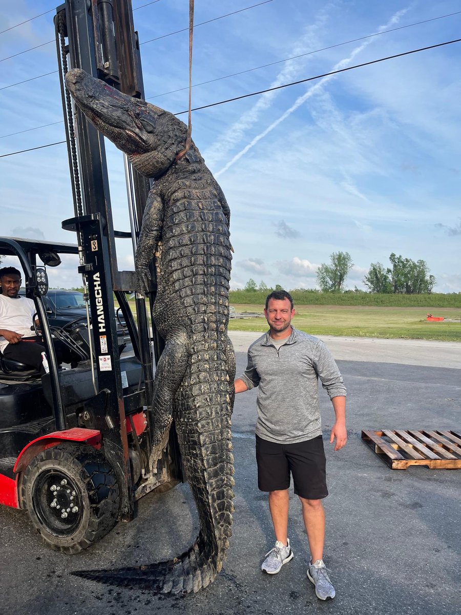 Tank Calais tweet media