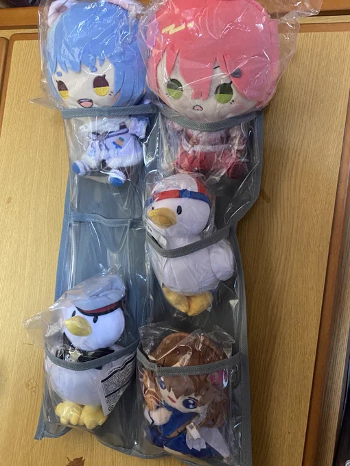 100きんのウォールポケットだともちどるはきついな 