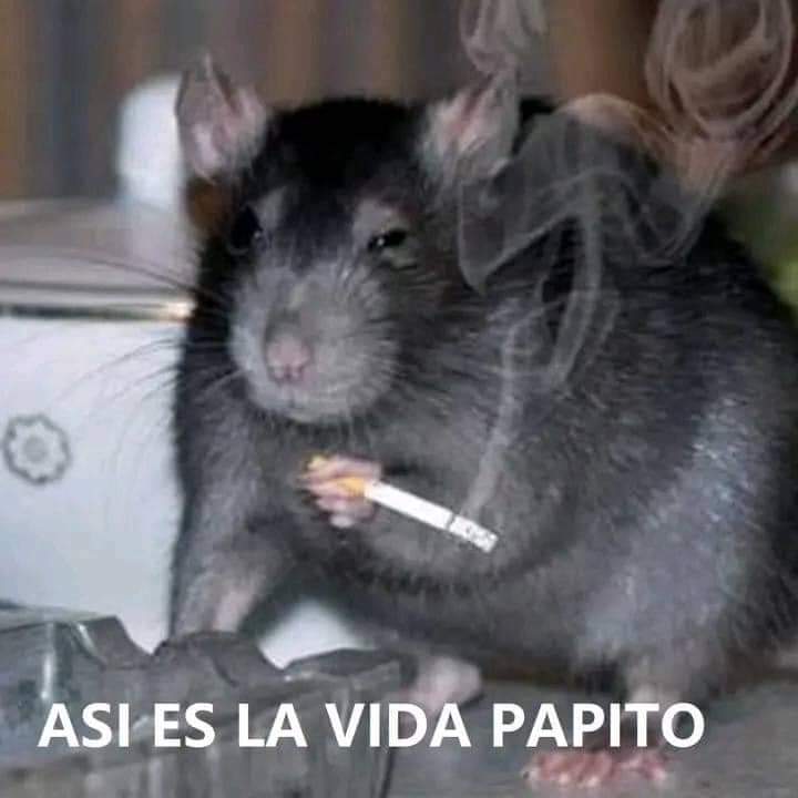 1900_daniel's tweet image. Fotos que recibirás si hablamos