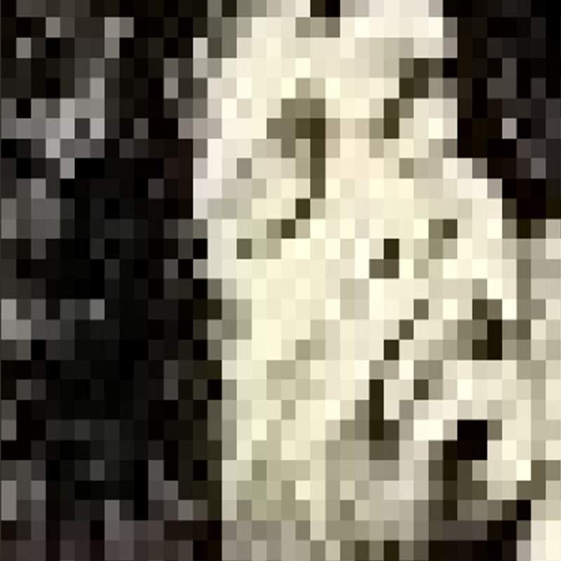 LongWhiteCloud4's tweet photo. #PixelPics...  

Check them out at :

https://t.co/jL6ztlQaw3… 

#Colour #Minimalism #Simplicity #NFT #NFT_community #OpenSea #ETH #Ethereum #nftpromoter #ETH #Art #Contrast #Image #NFT #NFT_community #OpenSea #ART https://t.co/nBBRDB9u41