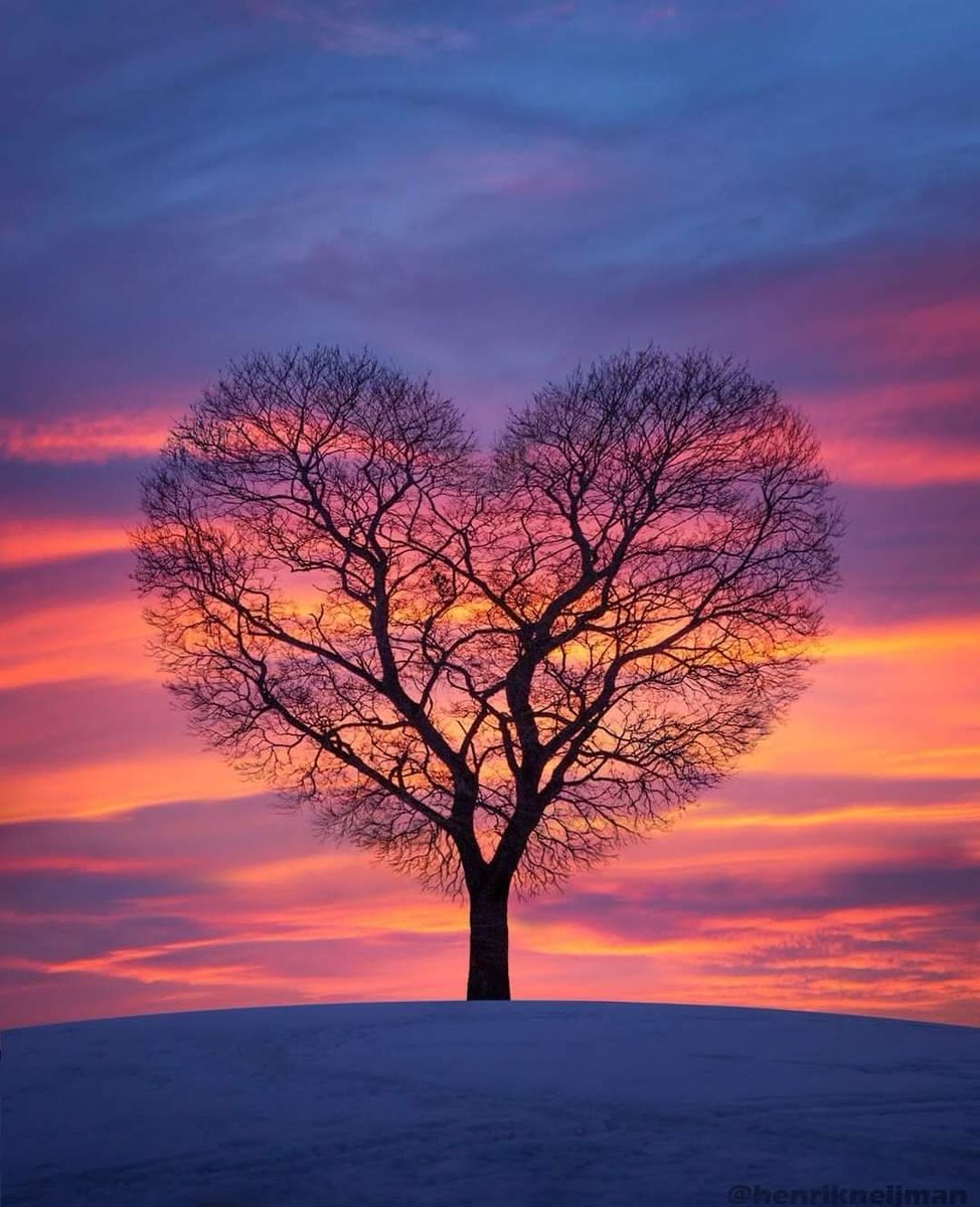 SitiosVirales's tweet photo. La naturaleza es perfecta siempre! https://t.co/x3ZzFghG1d