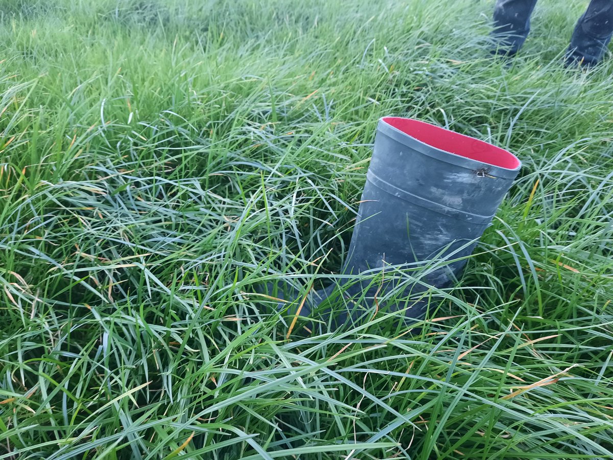 Ronan Joyce tweet media