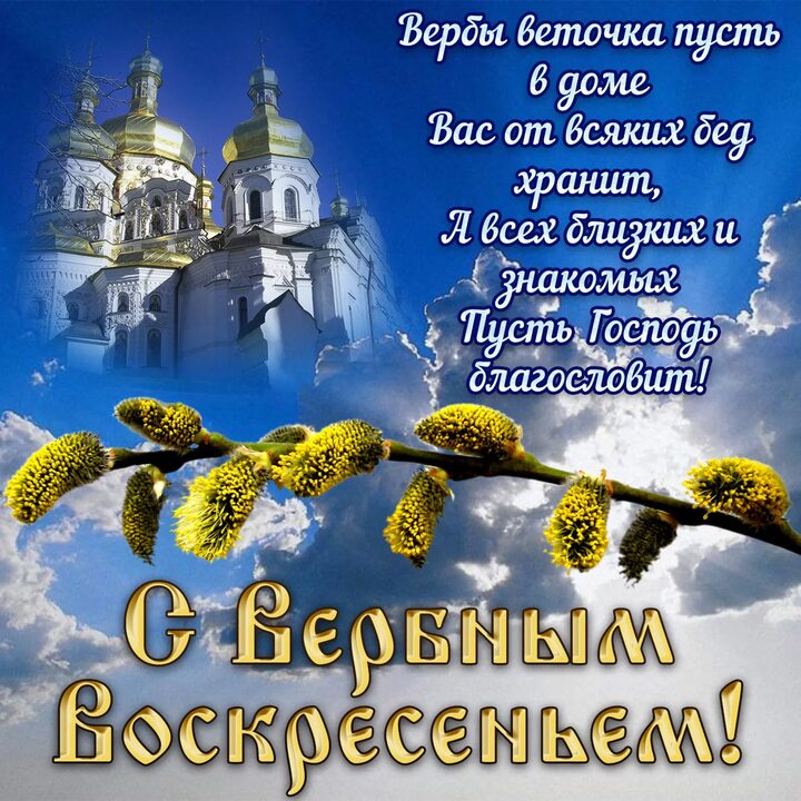 ⚡Екатерина Новикова tweet media