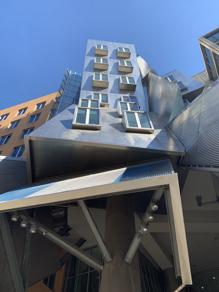 Coleen Suckling tweet media