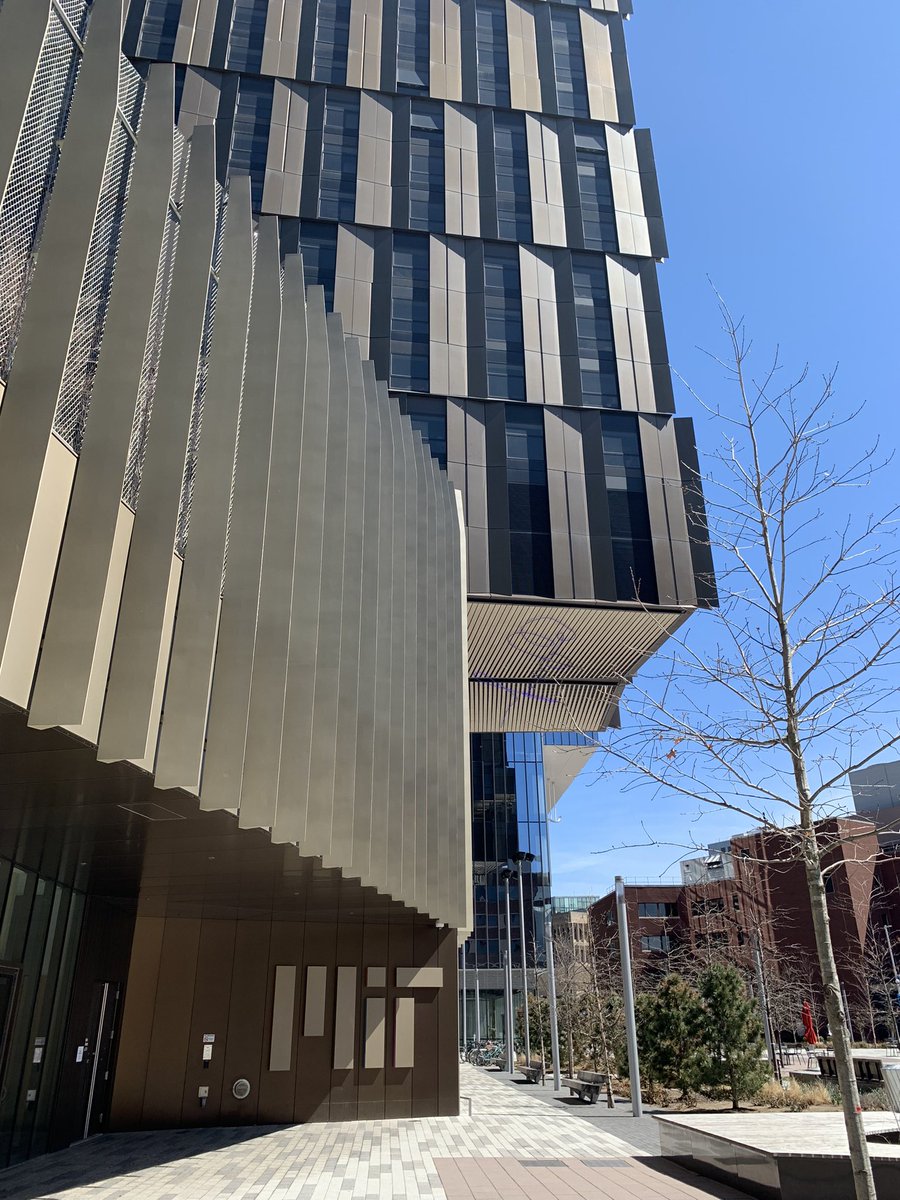 Coleen Suckling tweet media