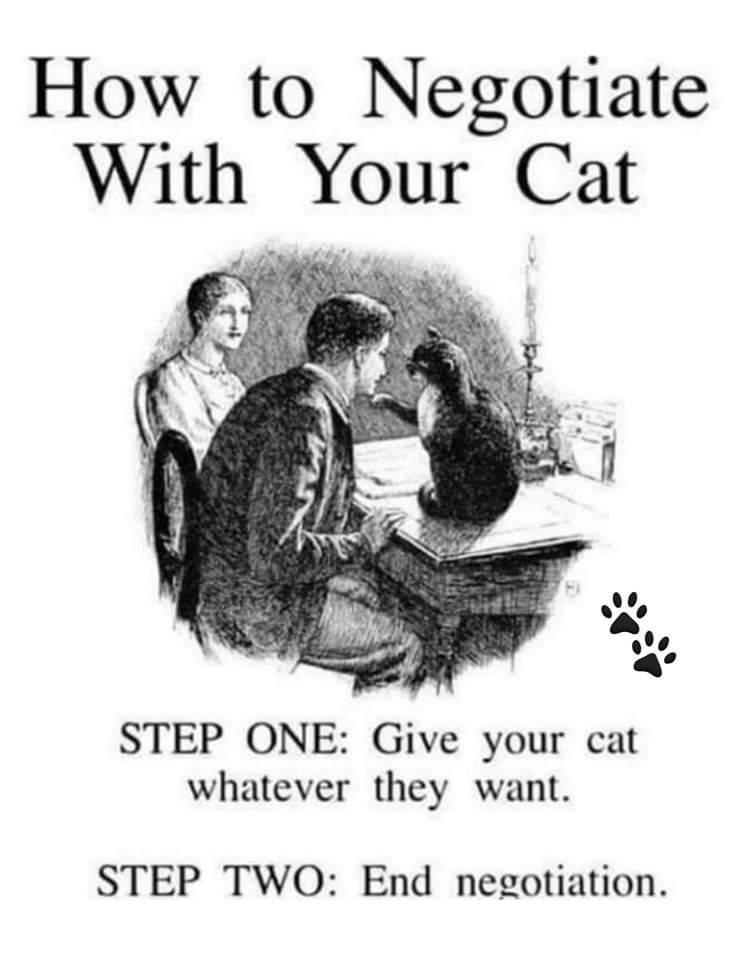imsimonurcat's tweet photo. yes. this. https://t.co/0IDAE4lSxO