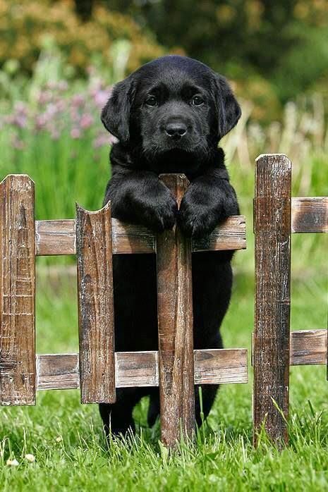 paperparrot_'s tweet photo. Shall we all agree that he can have whatever he wants 😍 https://t.co/dBle94PaPJ