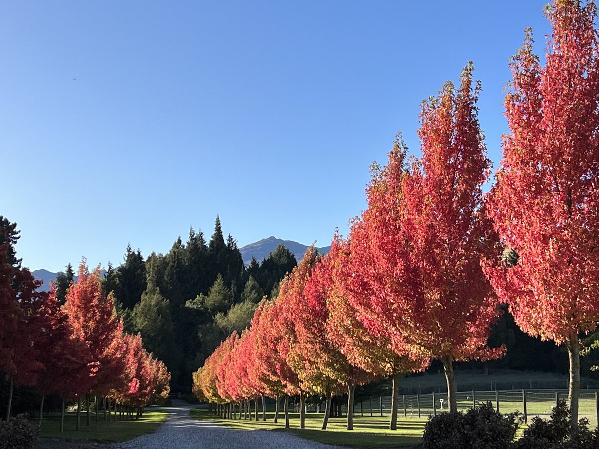 Wonderful views everywhere in Queenstown and Kingston NZ.