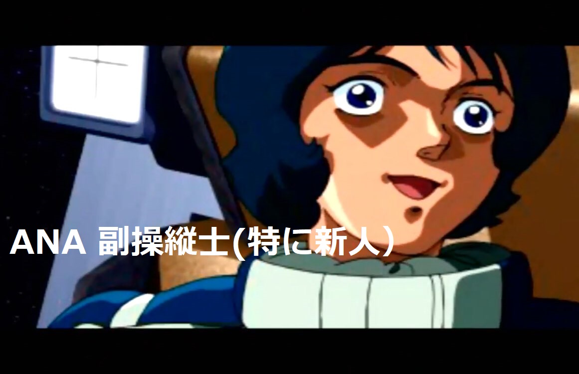 う～ん、、一部知り合い副操縦士連中からメールを貰い

アメリカにいるアメリカ人のツイートなら怒られないだろうからもっと、やって下さいとリクエストを貰いましたので。。。

コレ・・・本当にこんな感じ・・・

これが現実、そして今だに現実