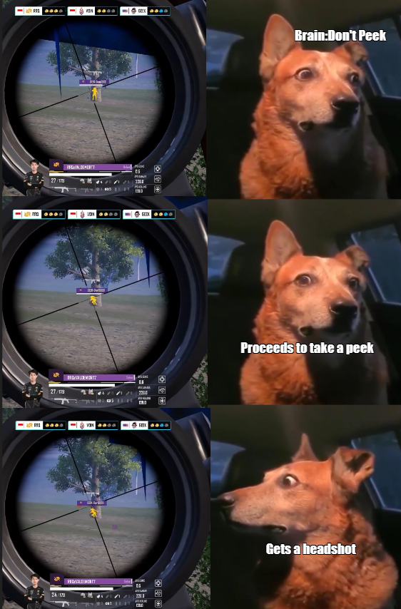 GriffixnzK's tweet photo. Need to listen to brain sometimes
#PMSLmemes
@EsportsPUBGM https://t.co/dDraekrxNj