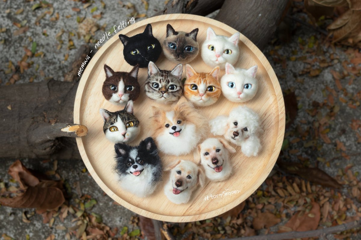 memwa_handmade's tweet image. ❤️❣️🎬
#แมว #needlefelting #minicat​#minidog​ #handmade
