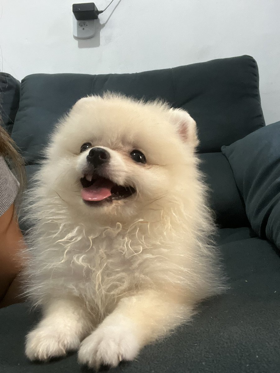 laurascordeiro_'s tweet photo. My new baby ❤️ https://t.co/qFnep02SxQ