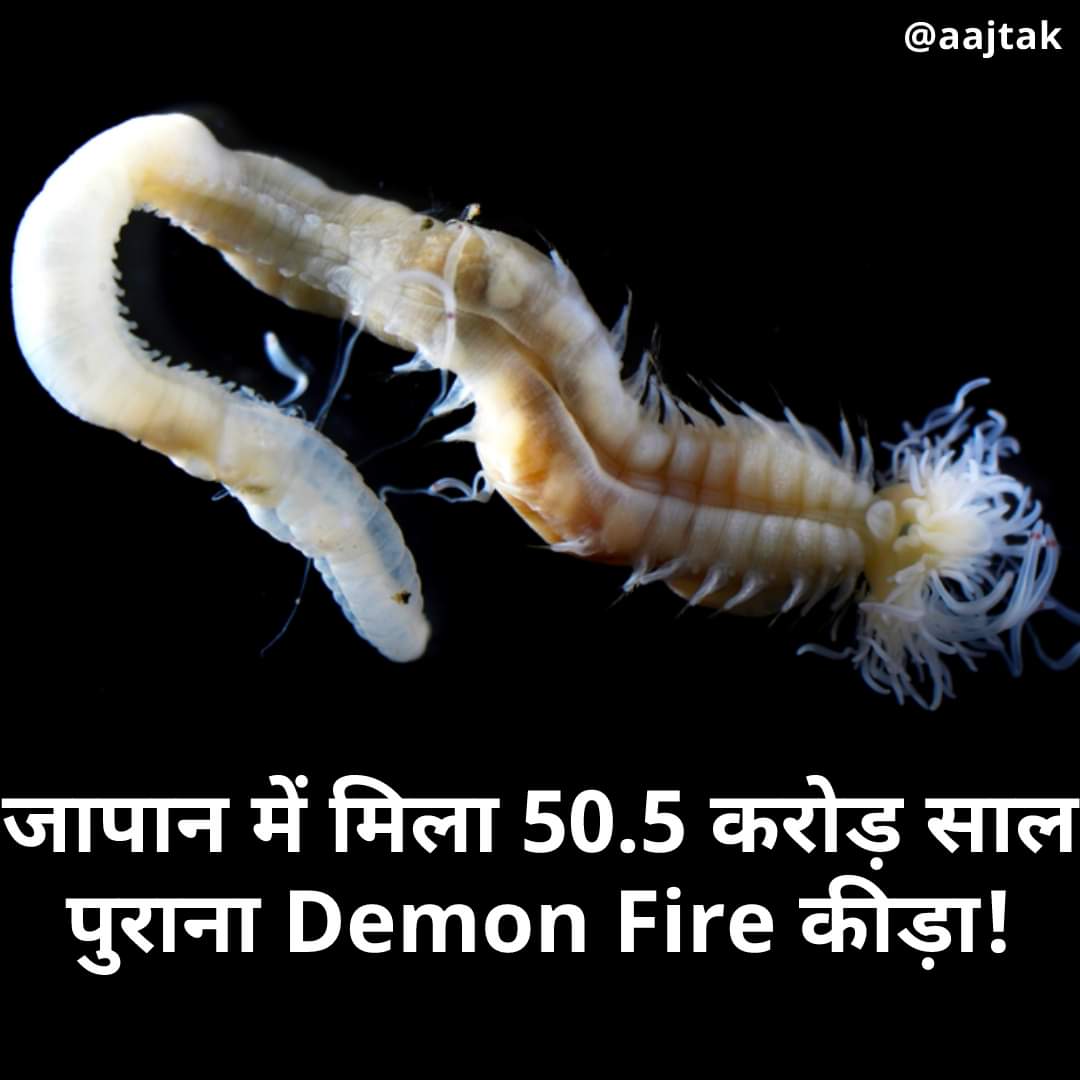 Lodh2Indra's tweet photo. Unknown knowledge..... 😊 https://t.co/jcgd4AHSpY