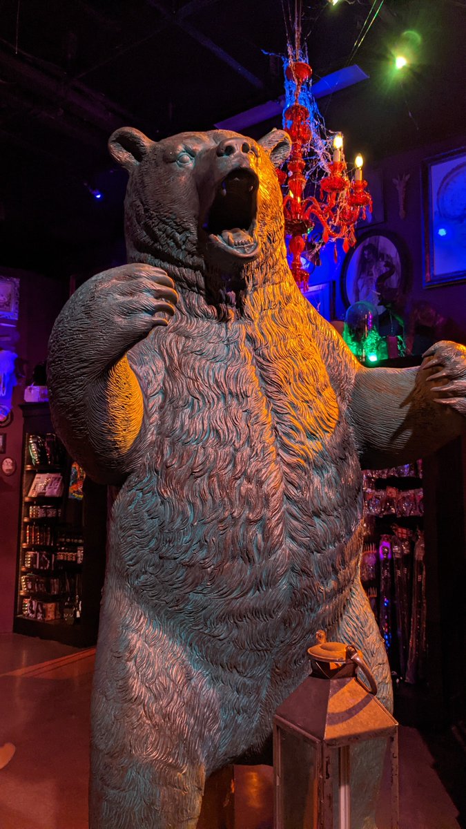 BEAR #HHN