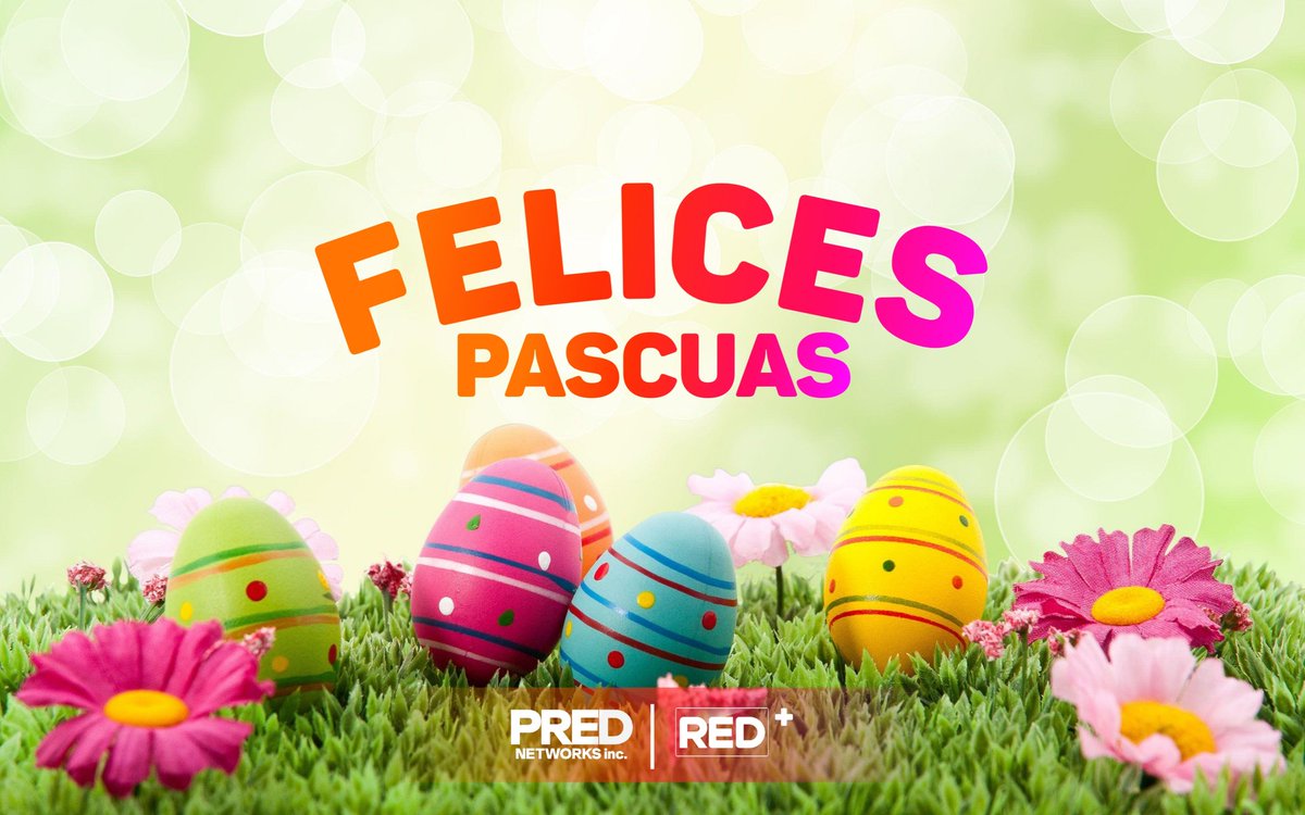 Redtv2uy's tweet photo. #FelicesPascuas Les desea
@Redplus_perima https://t.co/NzPDWUAZGW