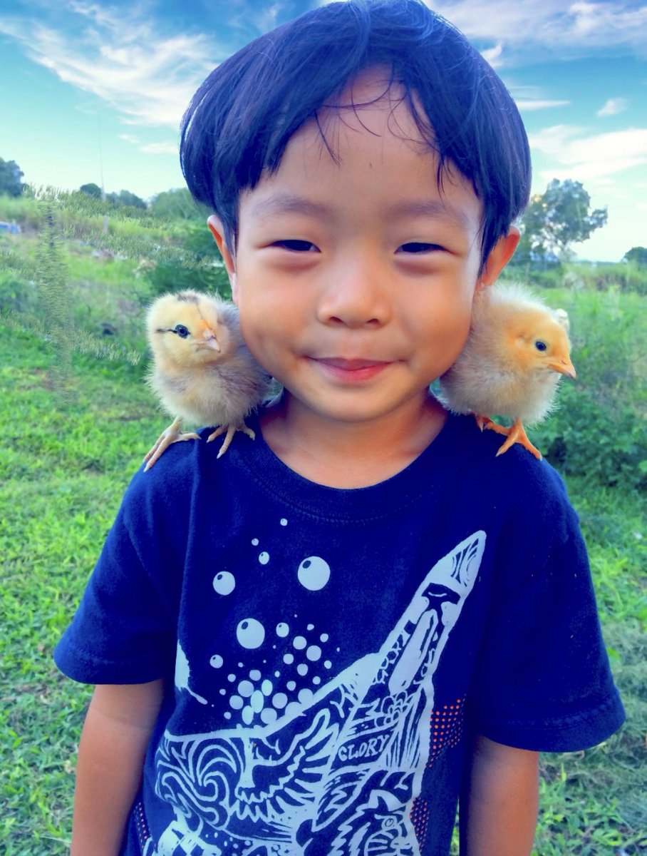 Hauʻoli Lā Hānau 6th generation Bradyn ʻUwao #HappyBirthday ❤️USA CSA: farm fresh food to your door or to someone you #gift 🏡HanaleiTaro.com ❤️Portion of proceeds to #nonprofit #education #preservation #Sustainability #community #FarmFreshToYou #Poi #kūlolo #MahaloKeAkua