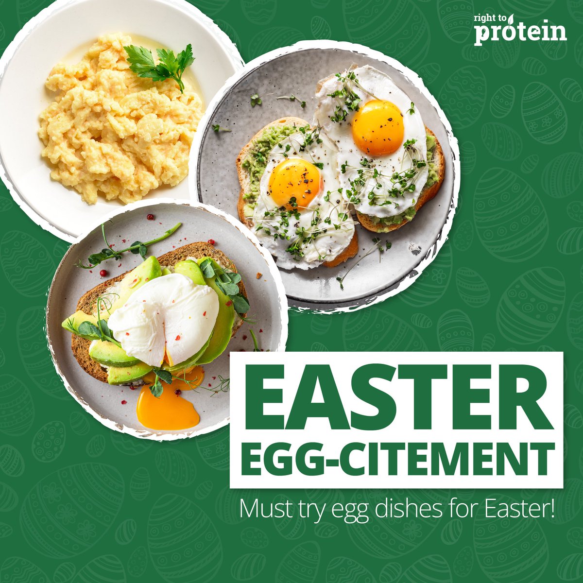 RTPSouthAsia's tweet photo. Enjoy Easter with these egg-citing dishes!
From egg benedict to egg fried rice, there's no shortage of delicious ways to enjoy this versatile ingredient.
So, crack some eggs and get set with cooking! ๐ฐ๐ฅ๐ด
#RightToProtein #Easter #Easterfood #ProteinFood #KnowYourProtein https://t.co/jkp0zWSuLL
