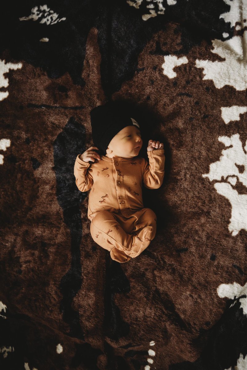 shaelyn bougher tweet media