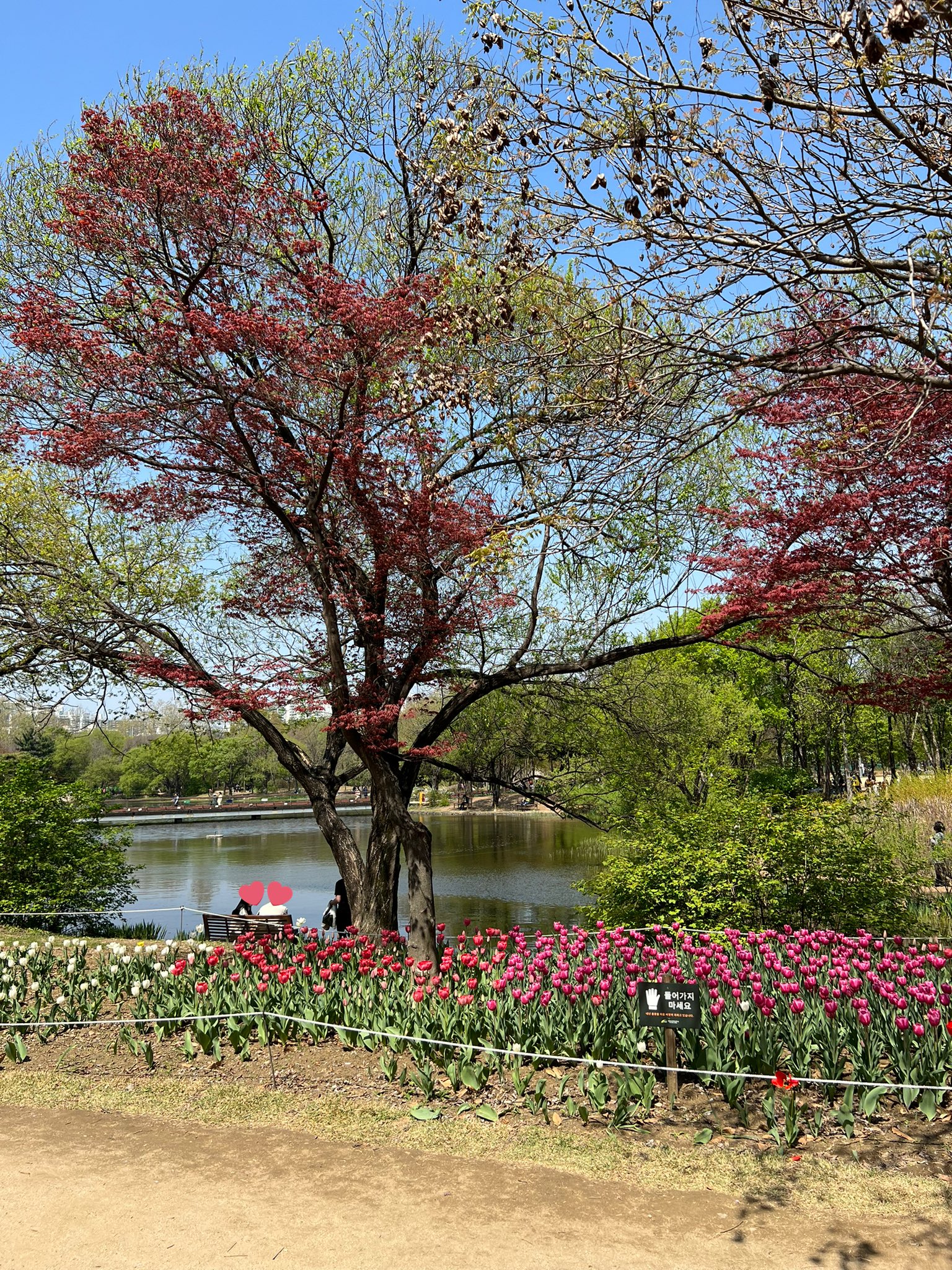 FtPtKeeacAAtBMr?format=jpg&name=large