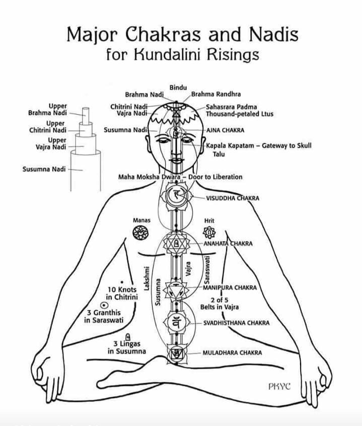 yogkiya's tweet photo. #yogkiya
#चक्र #chakara #kundalini #nadis https://t.co/GjfXWpXSso