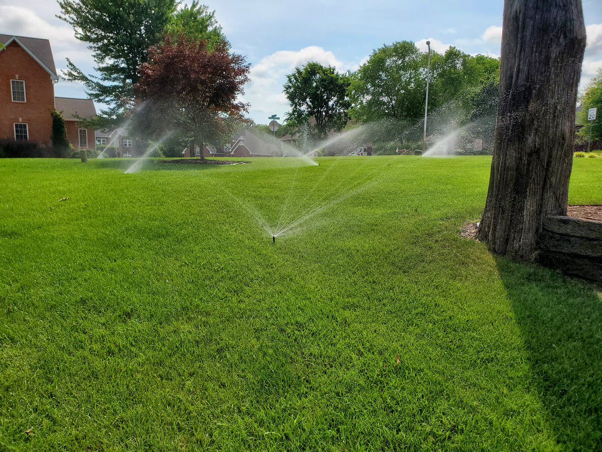 New town every hour on Twitter "Smyrna, Tennessee Population 51,586